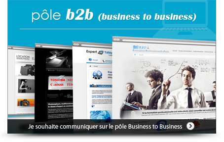 pôle b2b (business to business)